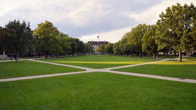 College Campus Quad