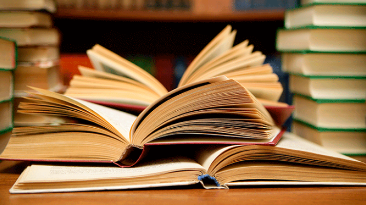photo of library books